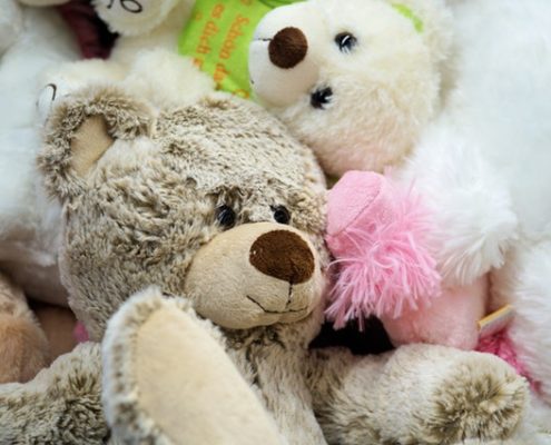 CUSTODY CASES (PARENTS NOT MARRIED)